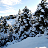 Tsapournia 1000m ERYMANTHOS