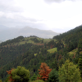 Erymanthos forest