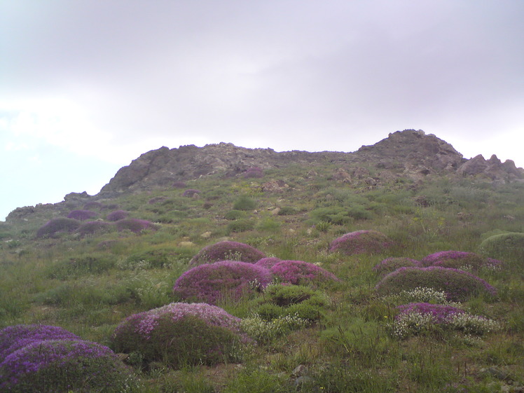 Kolakchal-Topmountain