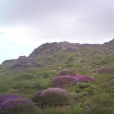 Kolakchal-Topmountain