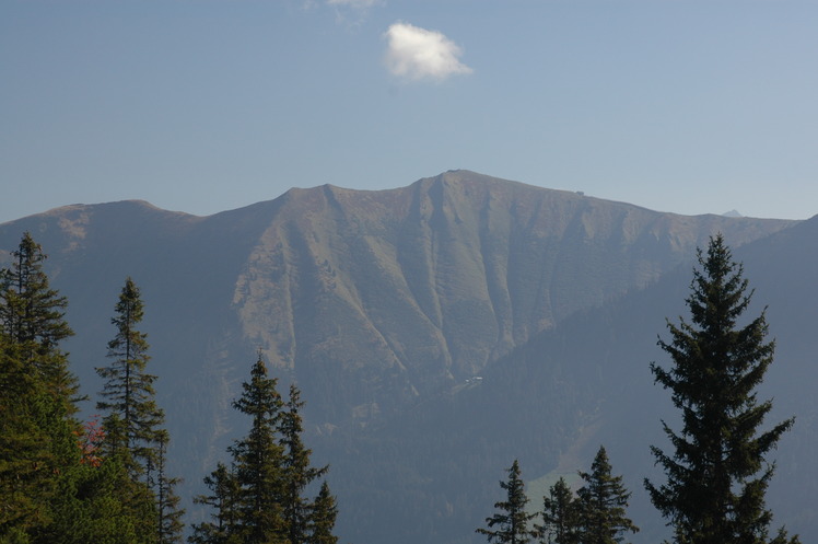 Fellhorn seen from path to Ifen