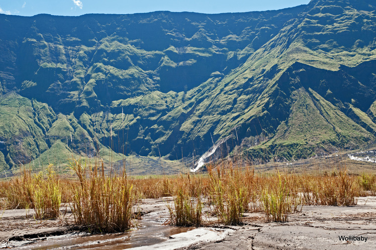 the green northern wall of the crater, 1.200m high, Tambora
