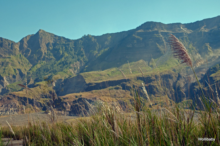 the western wall, Tambora