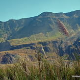 the western wall, Tambora