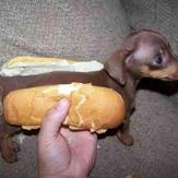 hot dog, Hermannskogel