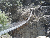 Hangebrücke, Bettmerhorn photo