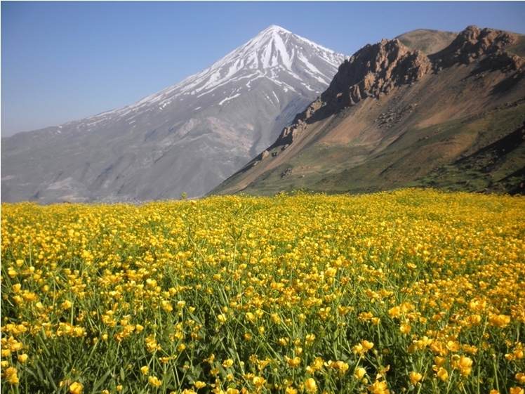 Ali Saeidi NeghabeKoohestaN, Damavand (دماوند)