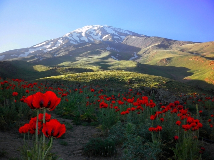 Ali Saeidi NeghabeKoohestaN, Damavand (دماوند)