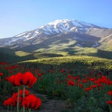 Ali Saeidi NeghabeKoohestaN, Damavand (دماوند)