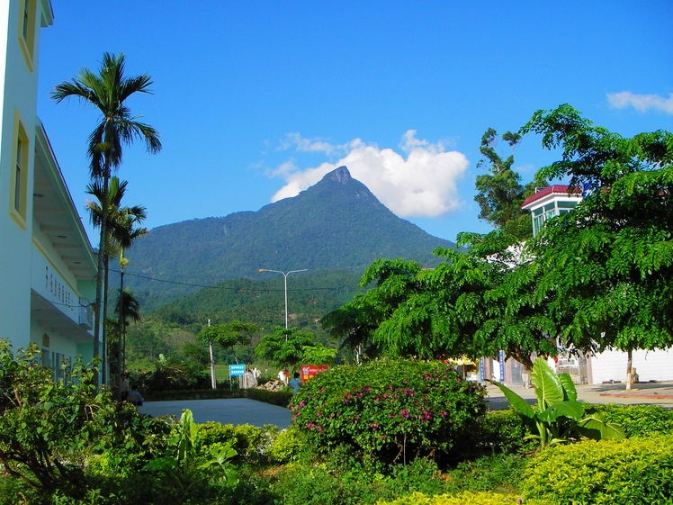 Wuzhi Mountain (五指山)