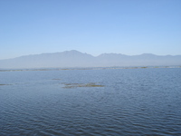 Doi Luang, Phi Pan Nam Range photo