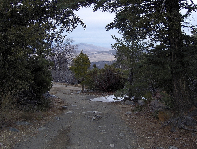 Cuyamaca Peak