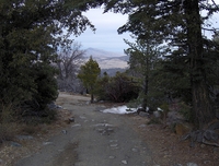 Cuyamaca Peak photo