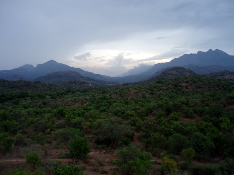 Anaimalai Hills