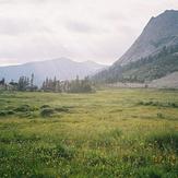 Triple Divide Peak (Tulare)