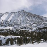 Mount Morgan (Inyo County, California)