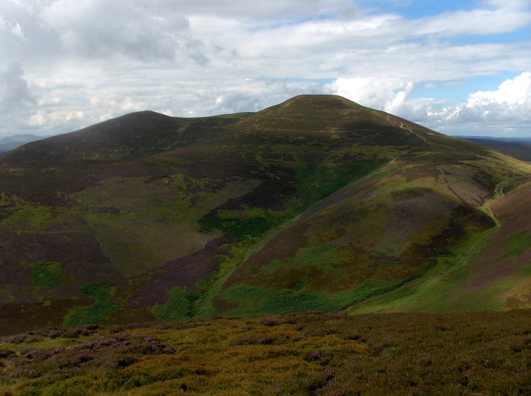 Scald Law