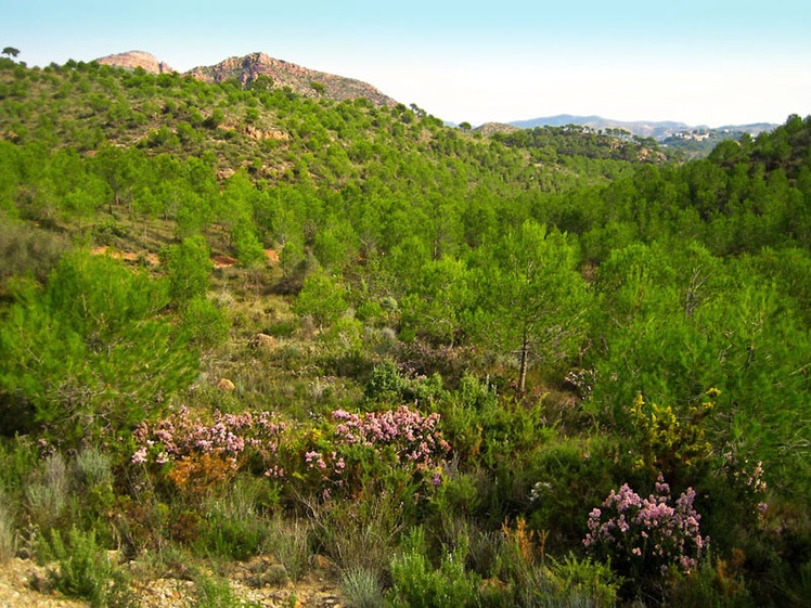 Serra Calderona