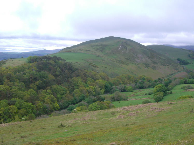 Sale Fell