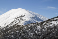 Mount Feathertop photo