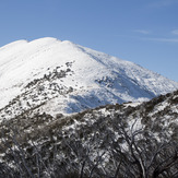 Mount Feathertop