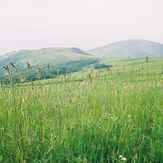 Whitetop Mountain