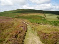 Beacon Hill, Powys photo