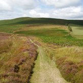 Beacon Hill, Powys