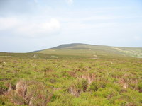 Moel Fferna photo