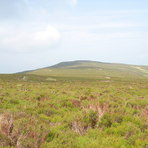 Moel Fferna