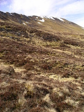 Càrn Dearg (Monadh Liath) photo