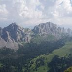 Dent de Savigny