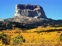 Chief Mountain photo