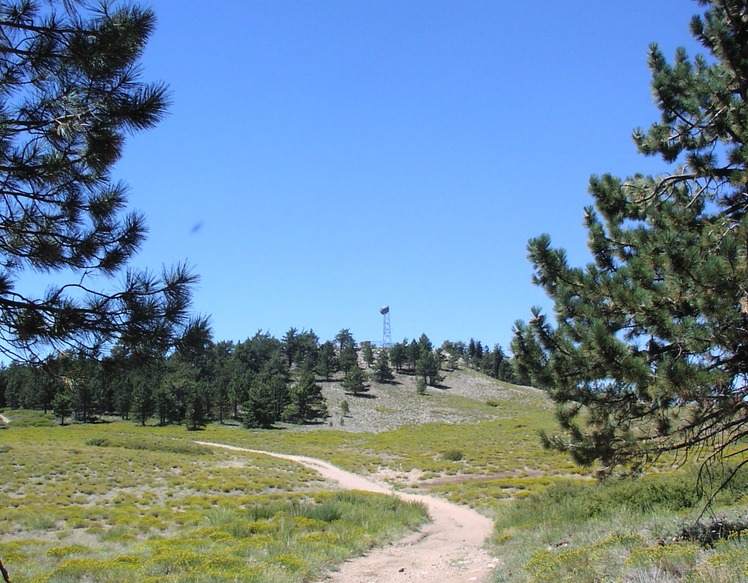 Mount Pinos