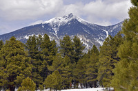 Humphreys Peak photo