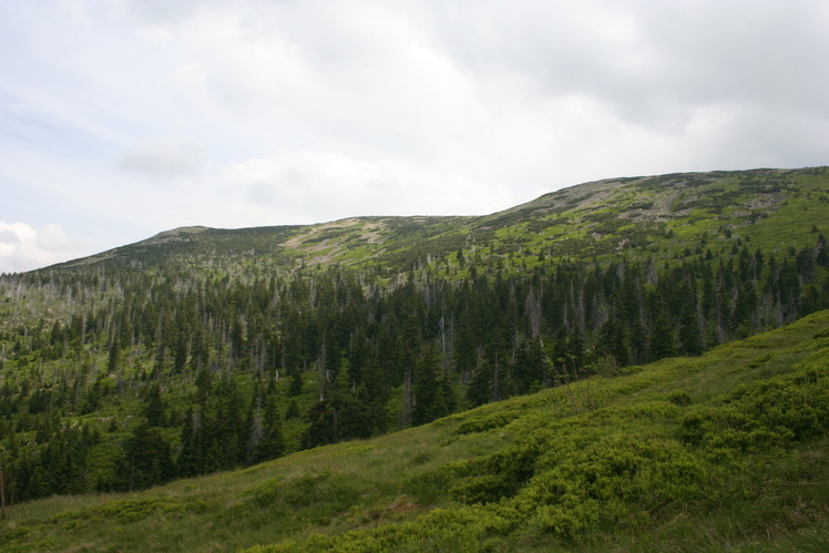 Łabski Szczyt weather