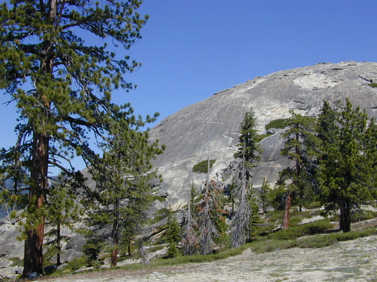 Sentinel Dome