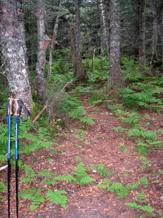 The Sleepers (New Hampshire)