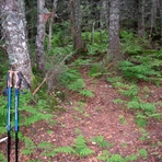 The Sleepers (New Hampshire)