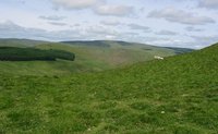 Windy Gyle photo