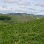 Windy Gyle