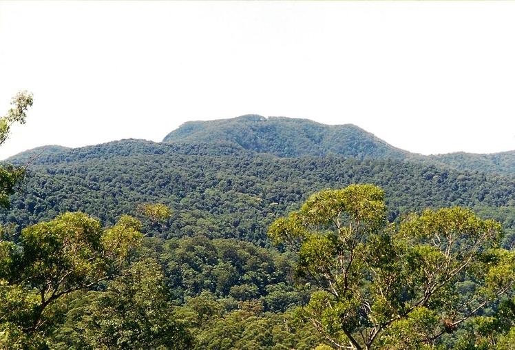 Mount Banda Banda weather