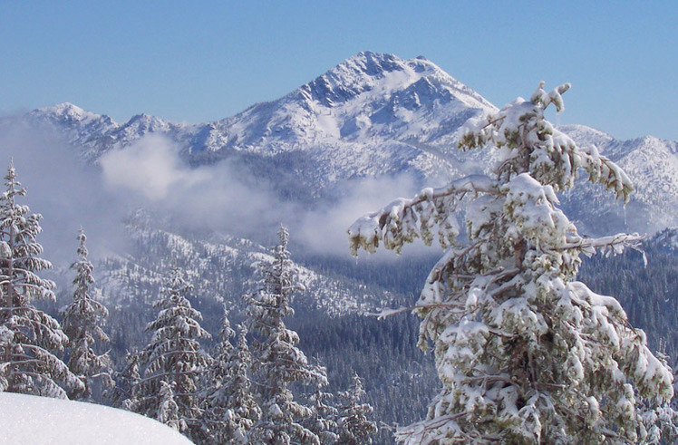 Preston Peak weather