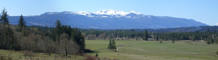 Mount Arrowsmith