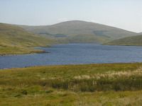 Y Garn (Plynlimon) photo