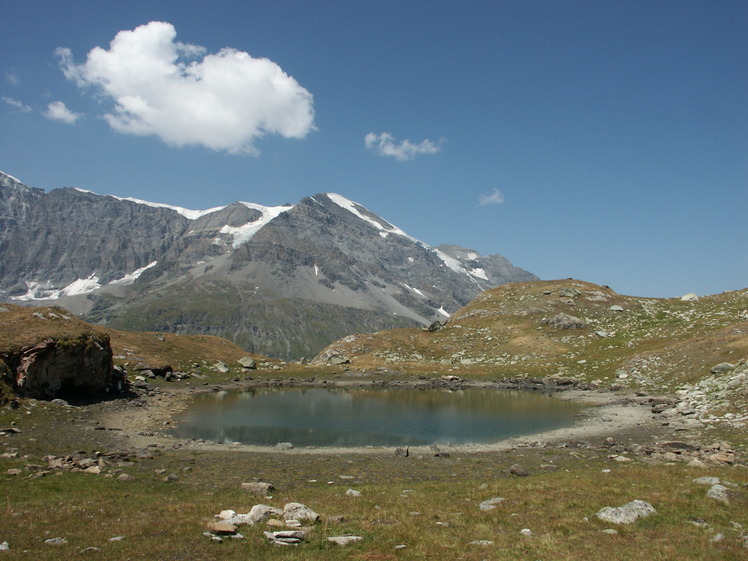 Tournelon Blanc