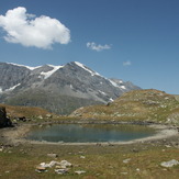 Tournelon Blanc