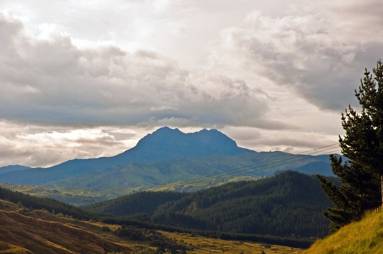 Hikurangi weather