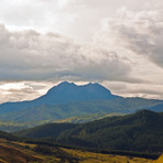 Hikurangi