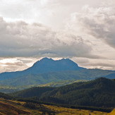 Hikurangi